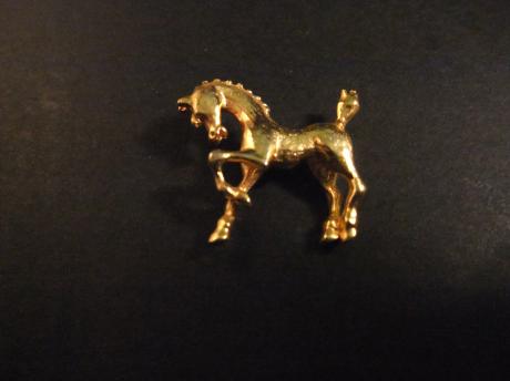 Paard goudkleurig